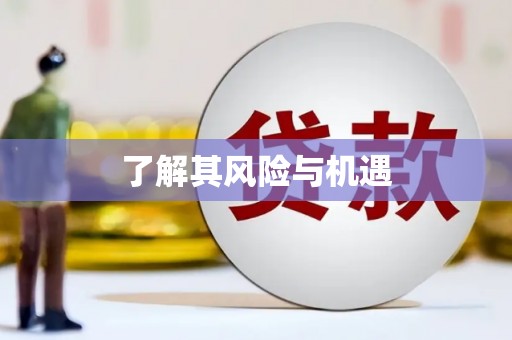 平川了解其风险与机遇