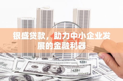 平川银盛贷款，助力中小企业发展的金融利器