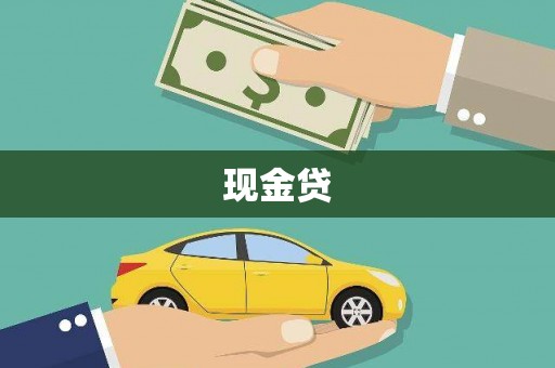 平川现金贷