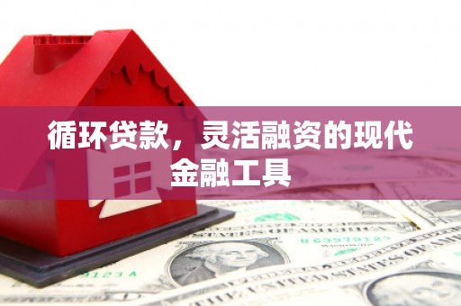 平川循环贷款，灵活融资的现代金融工具
