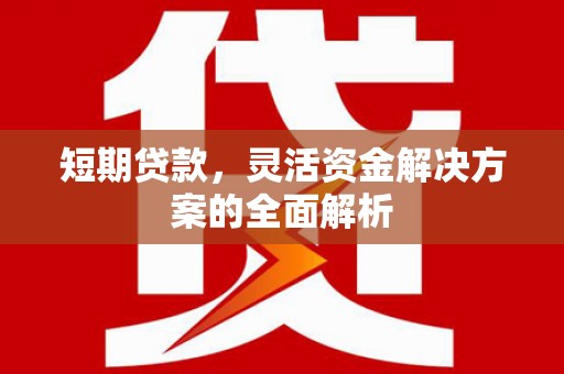 平川短期贷款，灵活资金解决方案的全面解析