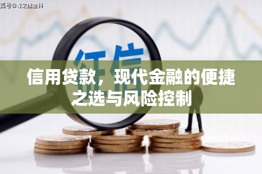 平川信用贷款，现代金融的便捷之选与风险控制
