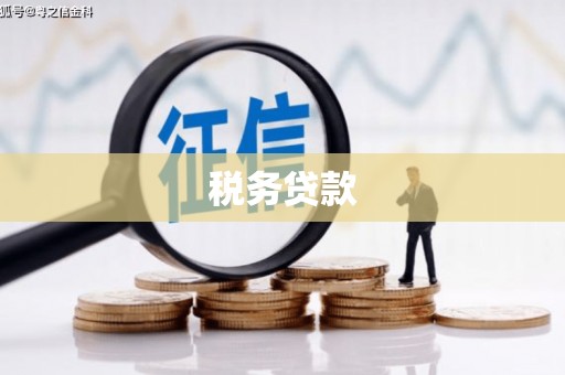 平川税务贷款