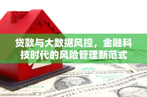 平川贷款与大数据风控，金融科技时代的风险管理新范式
