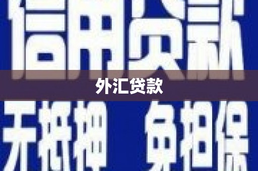 平川外汇贷款