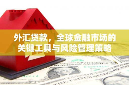 平川外汇贷款，全球金融市场的关键工具与风险管理策略