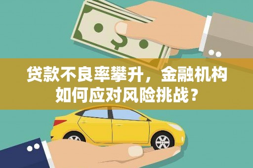 平川贷款不良率攀升，金融机构如何应对风险挑战？