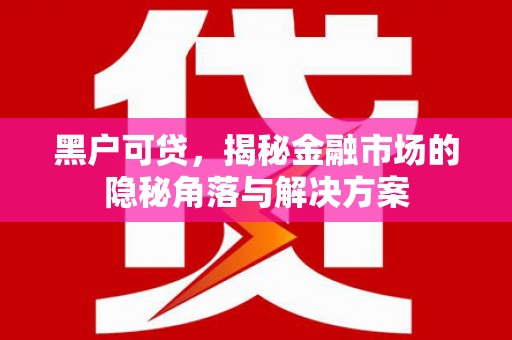 平川黑户可贷，揭秘金融市场的隐秘角落与解决方案