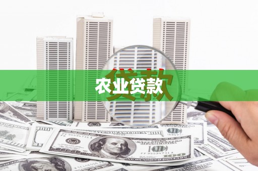 平川农业贷款