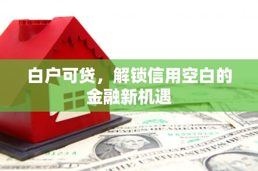 平川白户可贷，解锁信用空白的金融新机遇