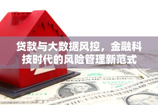 平川贷款与大数据风控，金融科技时代的风险管理新范式