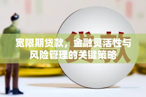 平川宽限期贷款，金融灵活性与风险管理的关键策略
