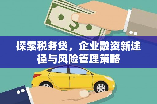 平川探索税务贷，企业融资新途径与风险管理策略