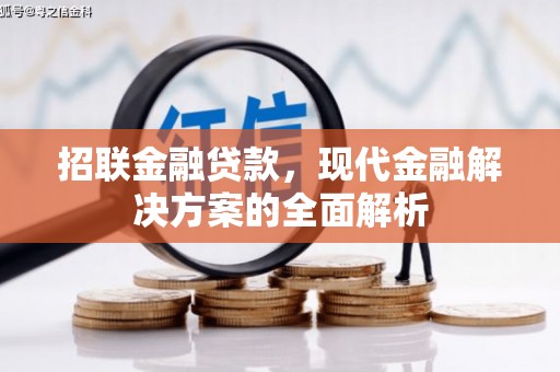 平川招联金融贷款，现代金融解决方案的全面解析