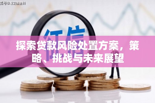 平川探索贷款风险处置方案，策略、挑战与未来展望