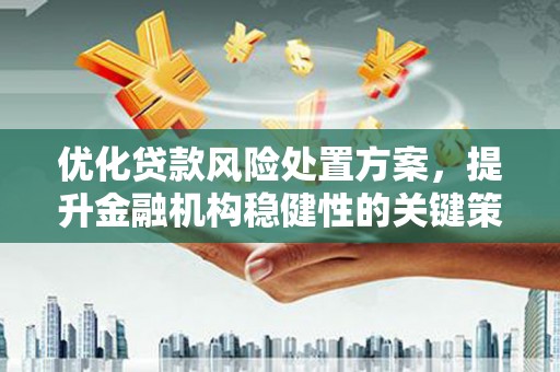 平川优化贷款风险处置方案，提升金融机构稳健性的关键策略