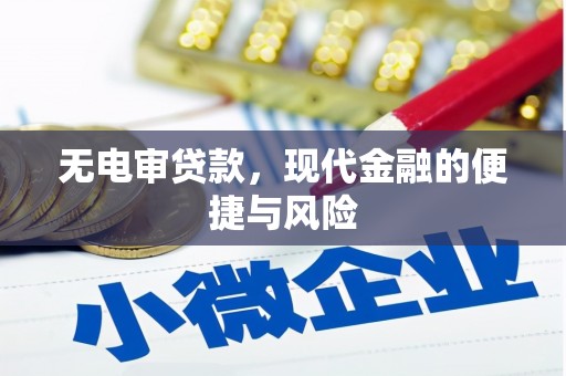 平川无电审贷款，现代金融的便捷与风险