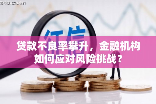 平川贷款不良率攀升，金融机构如何应对风险挑战？