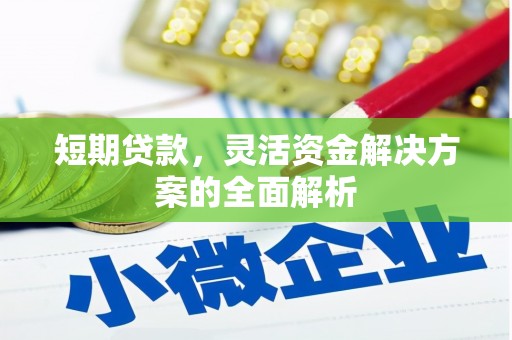 平川短期贷款，灵活资金解决方案的全面解析