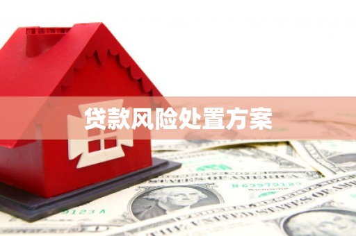 平川贷款风险处置方案