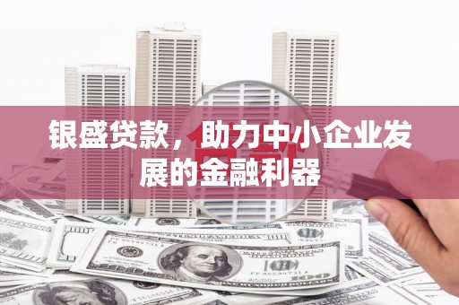 平川银盛贷款，助力中小企业发展的金融利器