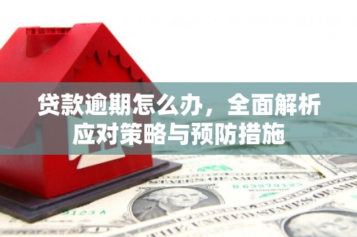 平川贷款逾期怎么办，全面解析应对策略与预防措施