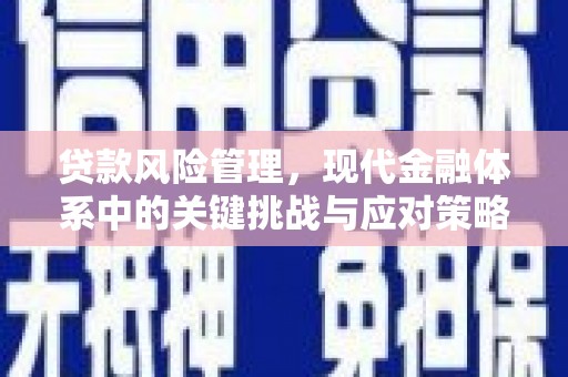平川贷款风险管理，现代金融体系中的关键挑战与应对策略