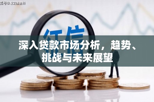 平川深入贷款市场分析，趋势、挑战与未来展望