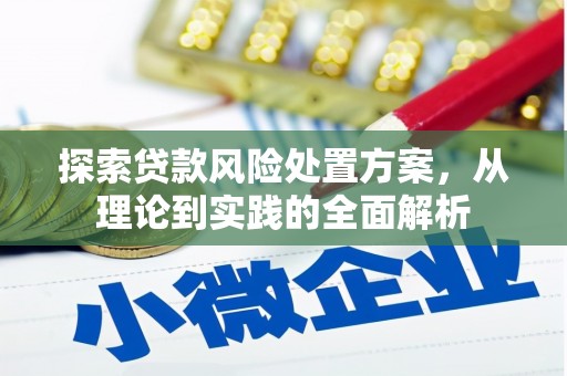 平川探索贷款风险处置方案，从理论到实践的全面解析