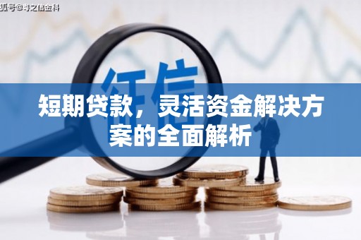平川短期贷款，灵活资金解决方案的全面解析