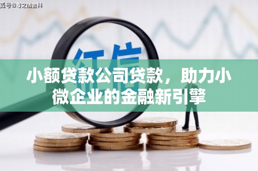 平川小额贷款公司贷款，助力小微企业的金融新引擎