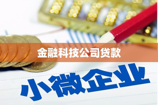 平川金融科技公司贷款