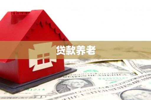 平川贷款养老