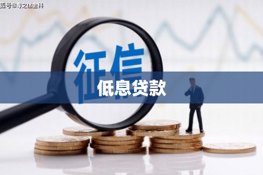平川低息贷款