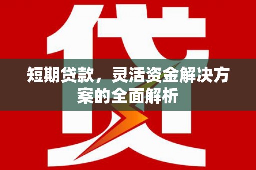平川短期贷款，灵活资金解决方案的全面解析