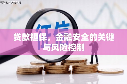平川贷款担保，金融安全的关键与风险控制