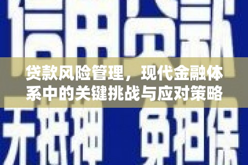 平川贷款风险管理，现代金融体系中的关键挑战与应对策略