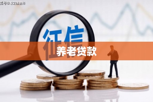 平川养老贷款