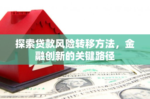 平川探索贷款风险转移方法，金融创新的关键路径