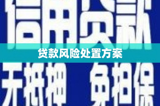 平川贷款风险处置方案