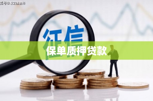 平川保单质押贷款