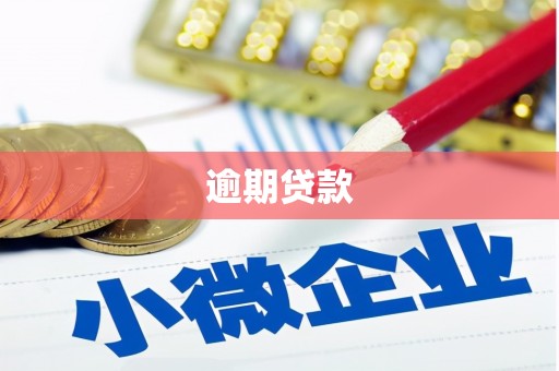 平川逾期贷款