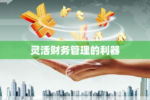 平川灵活财务管理的利器