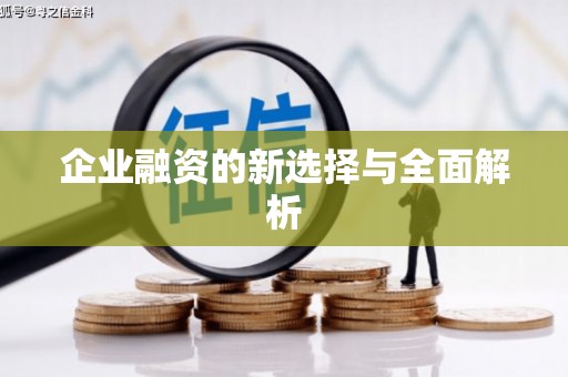 平川企业融资的新选择与全面解析