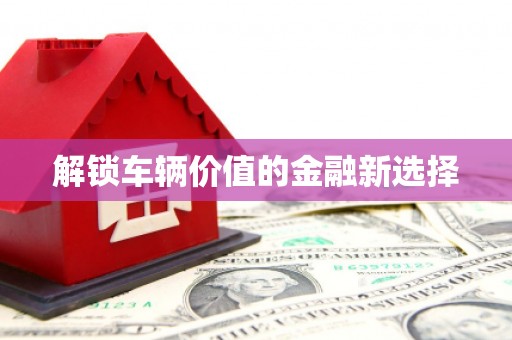 平川解锁车辆价值的金融新选择