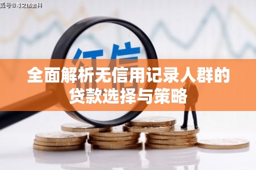 平川全面解析无信用记录人群的贷款选择与策略