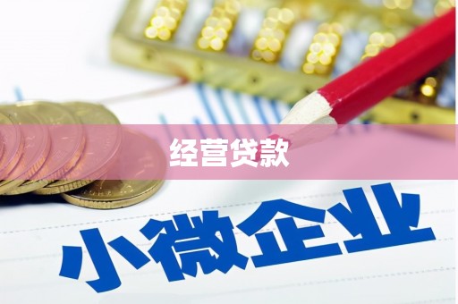 平川经营贷款