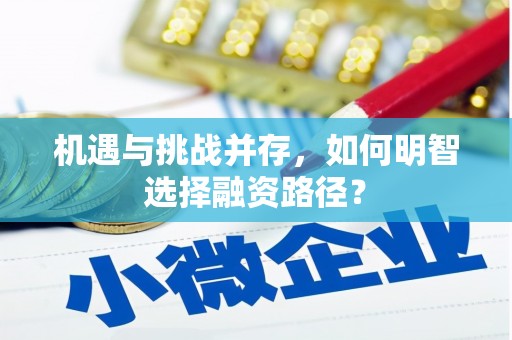 平川机遇与挑战并存，如何明智选择融资路径？