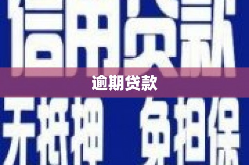 平川逾期贷款