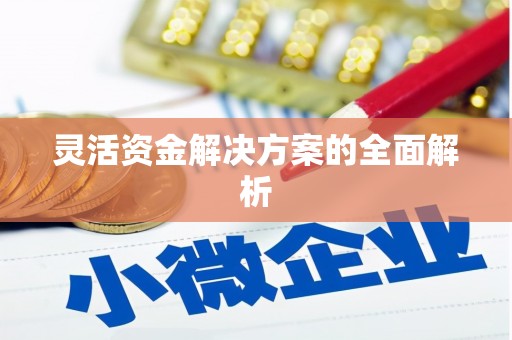 平川灵活资金解决方案的全面解析